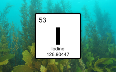 What do burned plastic and iodine deficiency have in common?